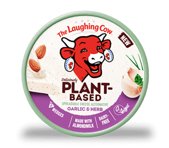 Creamy Swiss Original